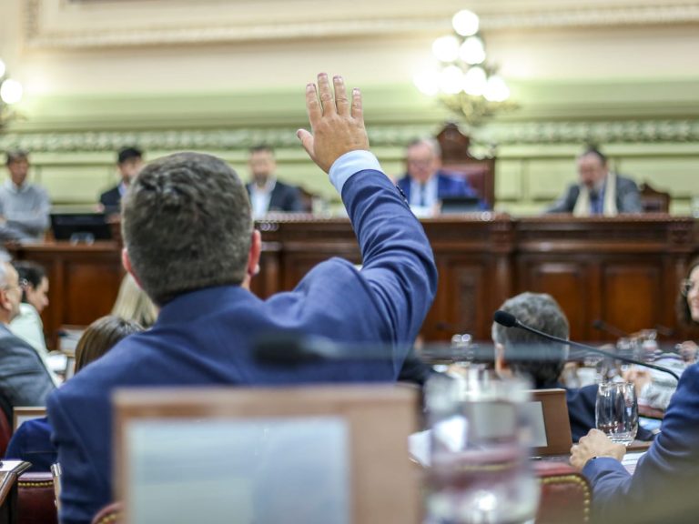 La voz de Las Colonias y de todos en la convención: Cómo presentar un proyecto en la Convención Reformadora
