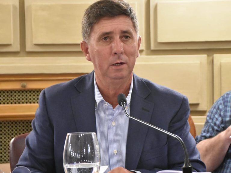 Acompañar la gestión local